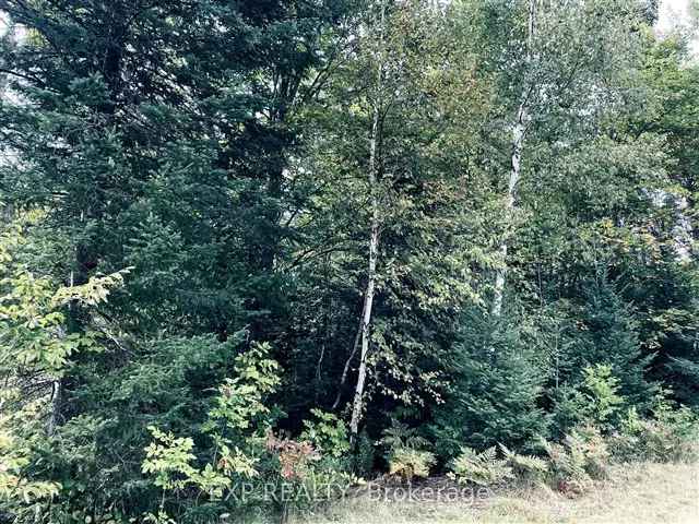 1 Acre Wooded Building Lot with Amenities