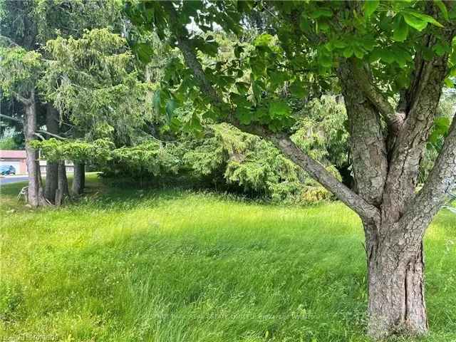 Land For Sale in Wiarton, Ontario