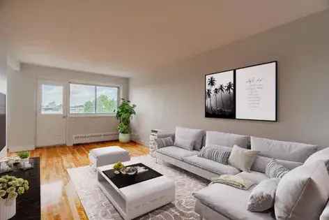 1 Room 50m² Apartment Montreal Virtual Tour Available