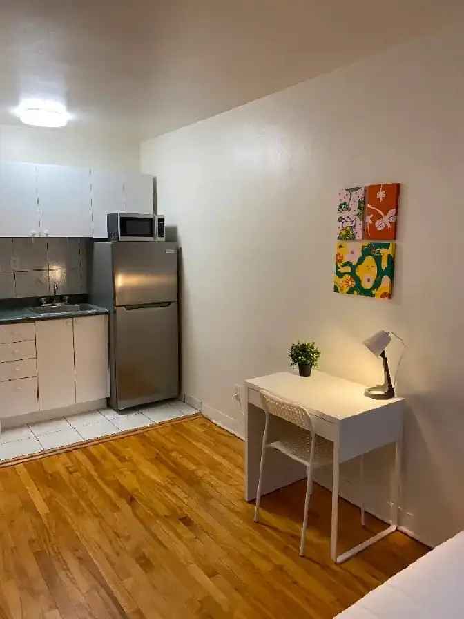 FURNISHED STUDIO NEAR MCGILL