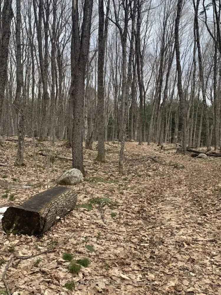 House For Sale , Dysart et al, Ontario