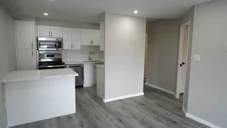 190 Gage Avenue South Hamilton Updated 2-Bedroom Unit Near Gage Park