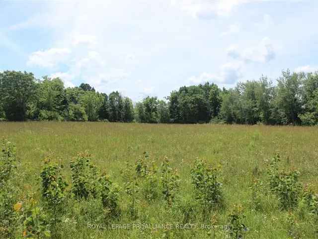 5-Acre Lot Perfect for Dream Home - Level Terrain, Mature Trees, Privacy