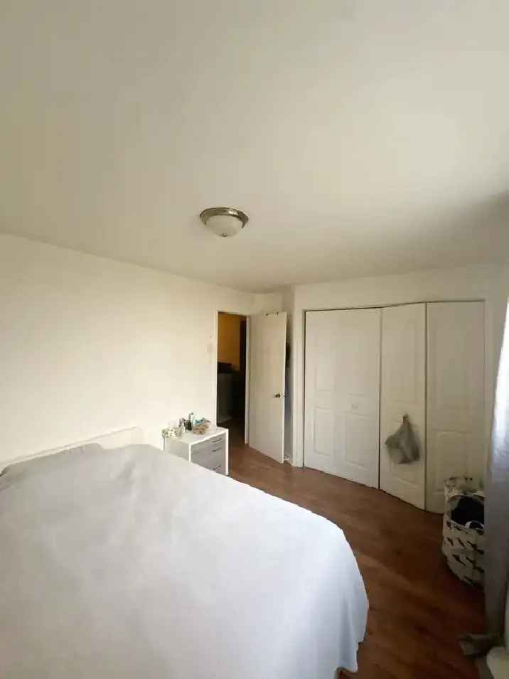 Beautiful 3 1 2 Triplex Lower Basement Near Metro Du College
