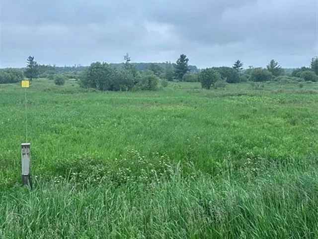 Vacant Lot in Southgate Township Perfect for Custom Home Construction