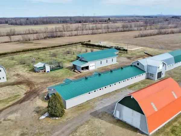 117-Acre Farm with 4-Bedroom House and Income Potential