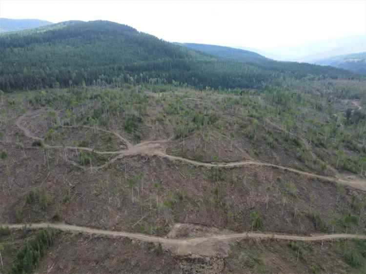 Trophy Wilderness Property - Yahk, BC