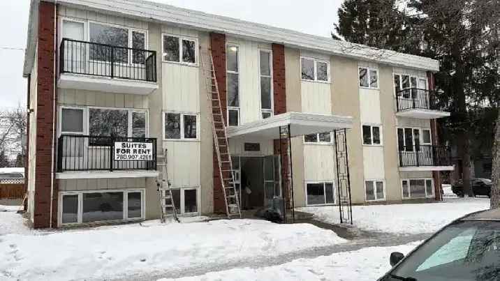 Rent Bright Fully Renovated One Bedroom Apartment Near UofA