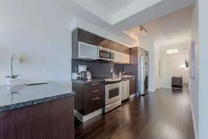 Bay St FURNISHED 2BDR 2Bath Condo near Sick Kids Hospital Pet OK