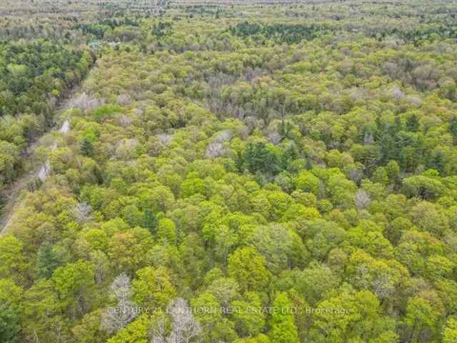 97 Acres Untouched Wilderness Hunting Cabin Land ATV Snowmobile Heritage Trail