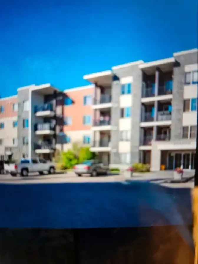 2 Beds 1 Bath  1 parking condo rental.  Plenty of natural lights