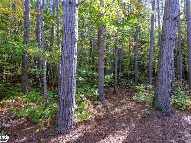 Muskoka Acreage Building Lot - Private, Scenic, and Convenient