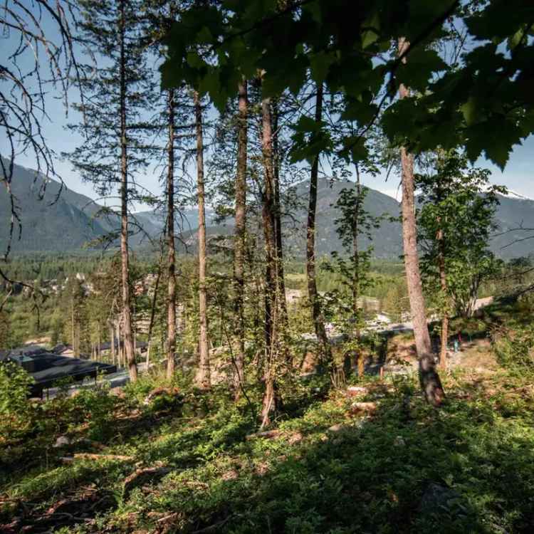 1.07 Acre Estate Lot with Mt Currie Views in AZURA