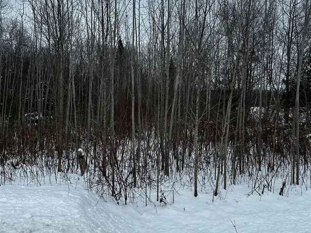 25-Acre Wooded Property Near Wasaga Beach