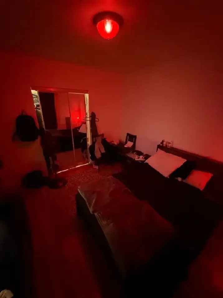 Room for Rent Cozy Natural Light