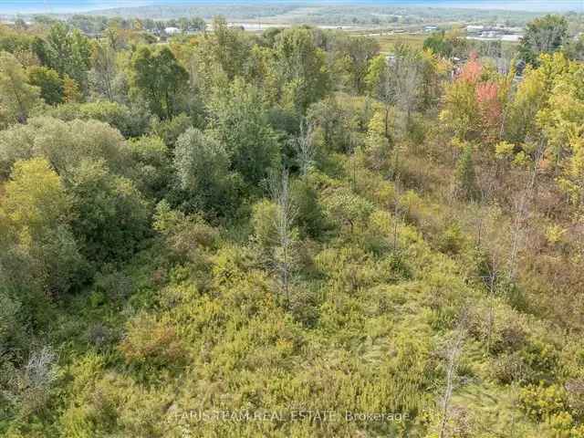 Highway 400 Investment Lot: High Visibility Rural Property