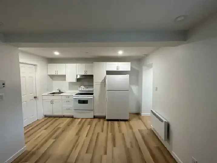 Rent 3 1/2 Apartment Mercier Rosemont Fully Renovated with Quiet Location