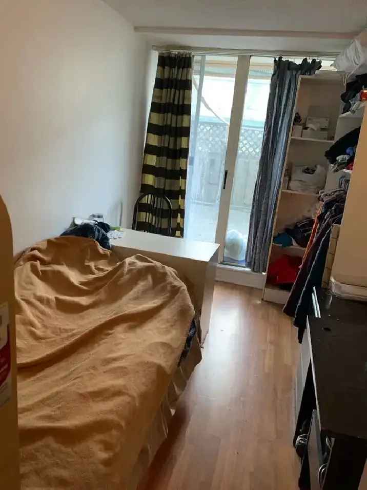 Single Room for Rent Spadina and Queen St March 1st