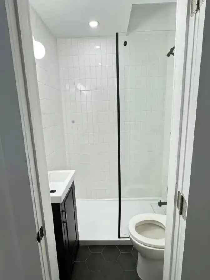 Renovated Furnished 1 BR  MILE END, PETS OK, WIFI, 5 appliances