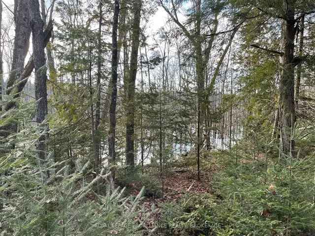 20 Acres Recreational Property with Trails and Bunkie