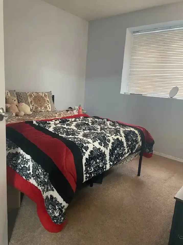 Bedroom for rent