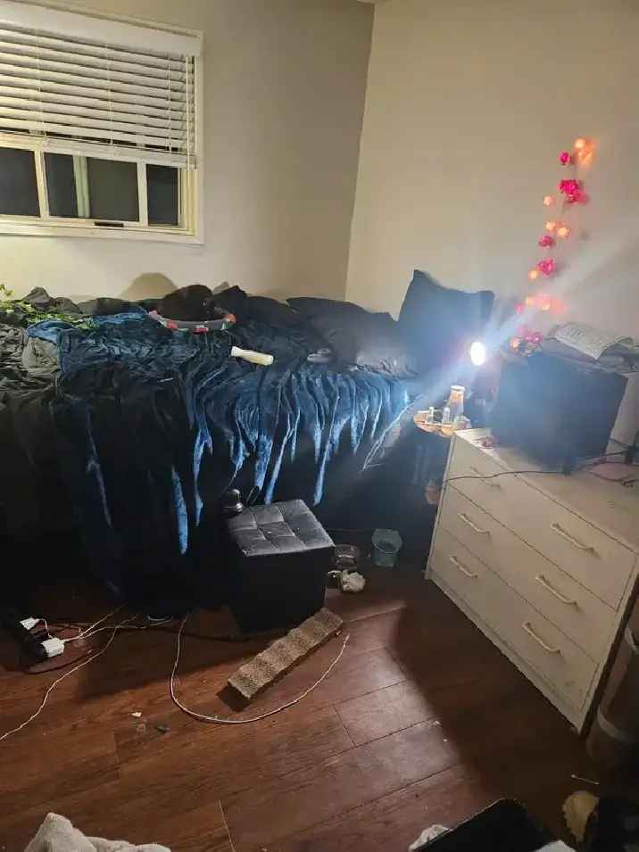 Room Rental Acadia June 1