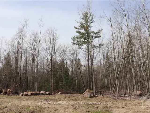 Wooded Lot near Calabogie Recreational Area Hydro Available