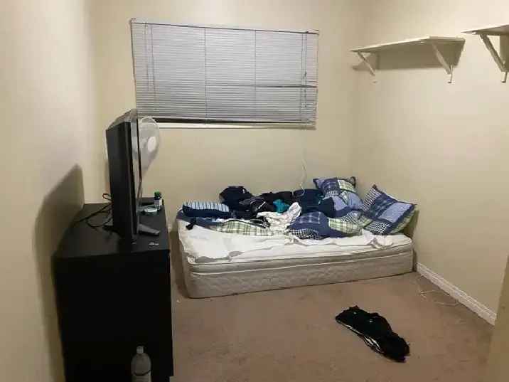 room for rent near uofc