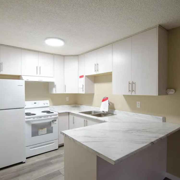 Duplex for Sale 3 Bedroom Suites Updated Windows and Cabinets