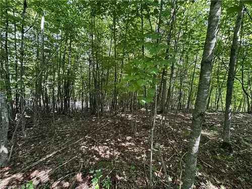 Vacant Land For Sale In Dunrobin, Ottawa, Ontario