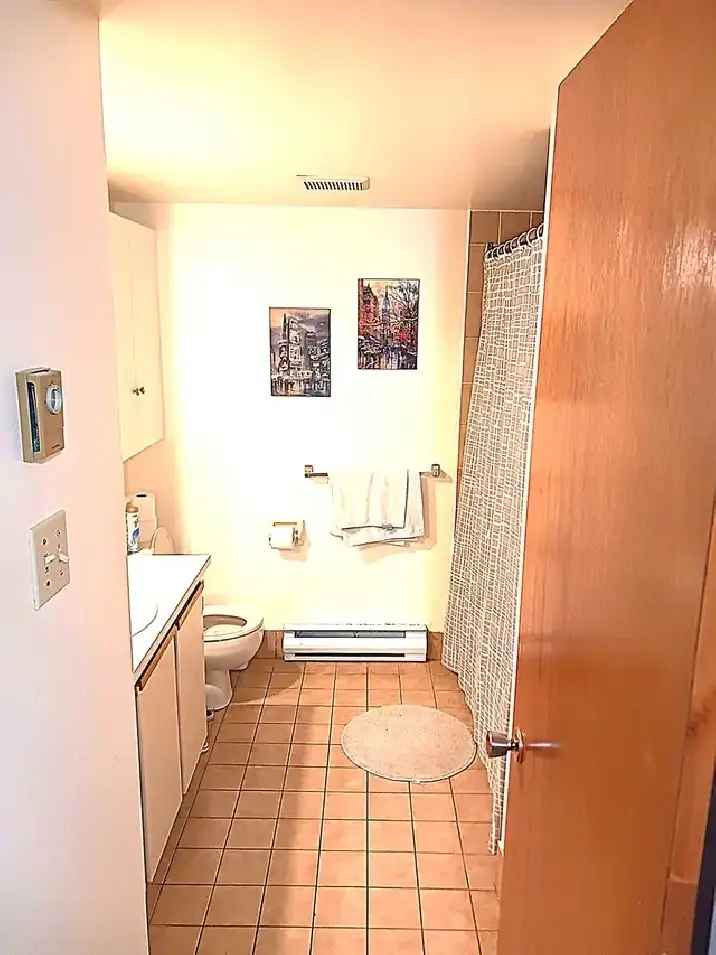 3 1 2 Condo Style Ahuntsic-Cartierville Apartment