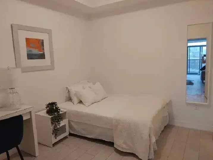 Furnished room in the Dufferin king west Xo Condo near liberty