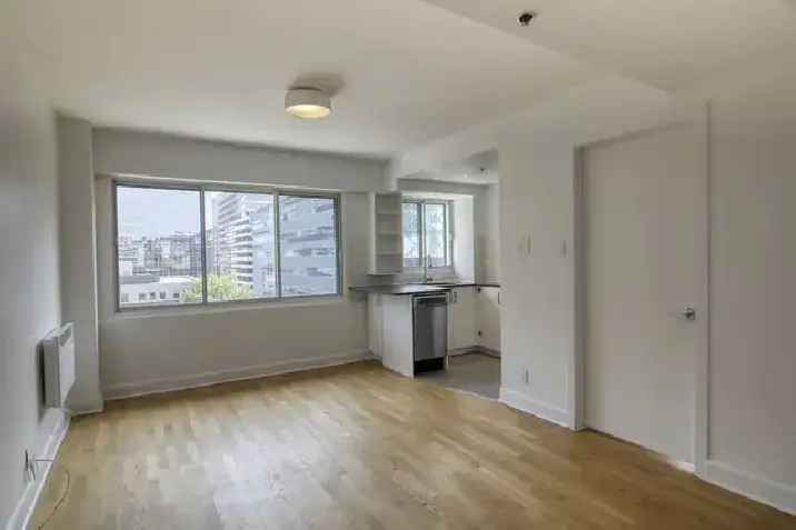 fully renovated one bedroom apartment near McGill - ID 3486