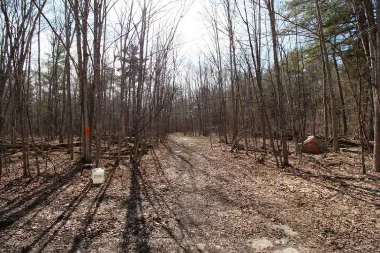 364 Acres Recreational Land with Abundant Wildlife and Water Features