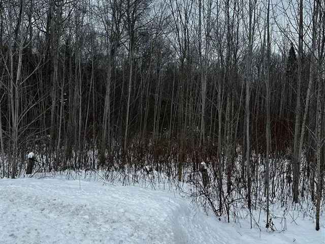 25-Acre Wooded Property Near Wasaga Beach - Build Your Dream Home