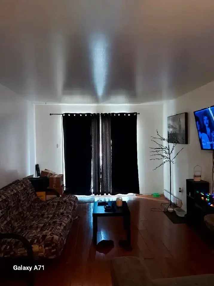4 1 2 Apartment for Rent in Les Coteaux May 1st and July 1st
