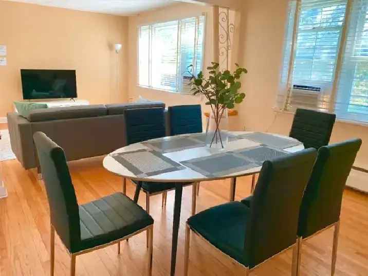 FURNISHED 3-BEDROOM APARTMENT