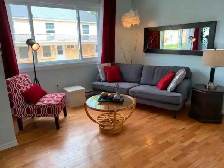 Furnished All Inclusive Turnkey Apartment Downtown!