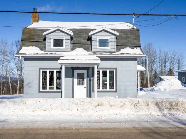 One-and-a-half-storey house for sale, 100, Rue Notre-Dame, Notre-Dame-des-Monts - Proprio Direct