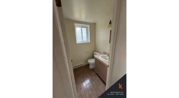 Bright Lower-Level Apartment - Renovated, Washer/Dryer Hookups