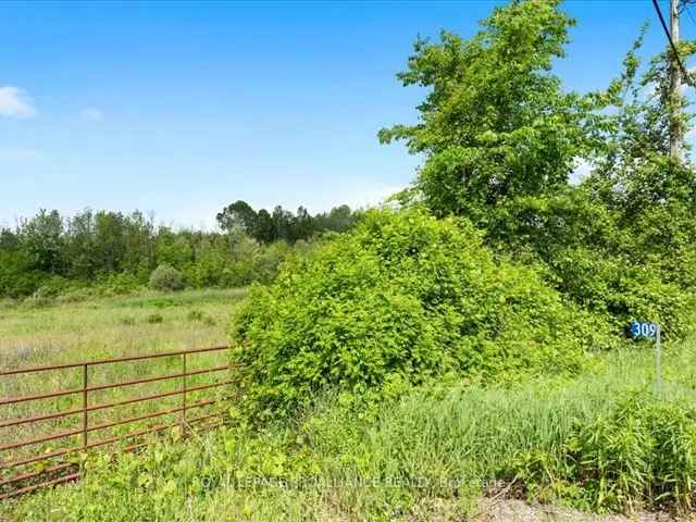 95-Acre Property Near Tweed and Belleville - Endless Potential