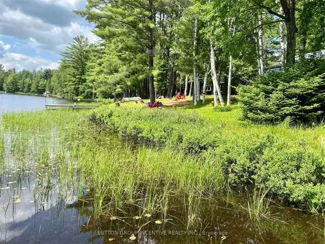 Palette Lake Family Home Cottage 3BR 2 Garages Huntsville