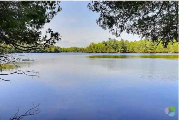 ( RARE ) 150 Acres with Lake Front , 1hr north of Montreal