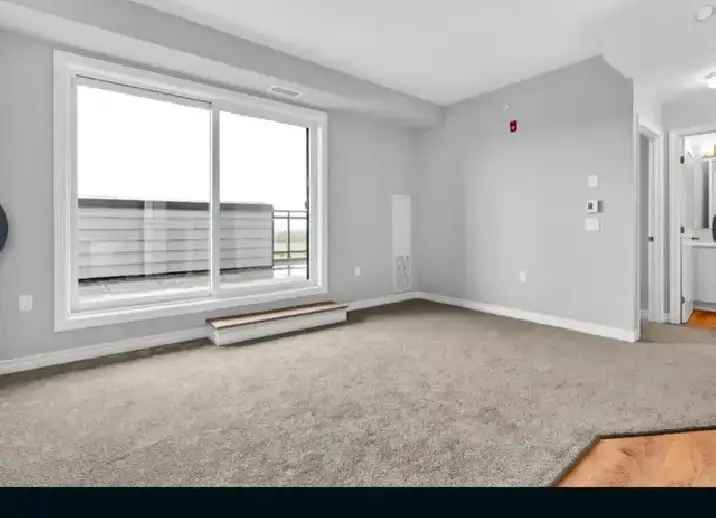 Brand new 2 bed/2bath condo rental w/beautiful view from terrace