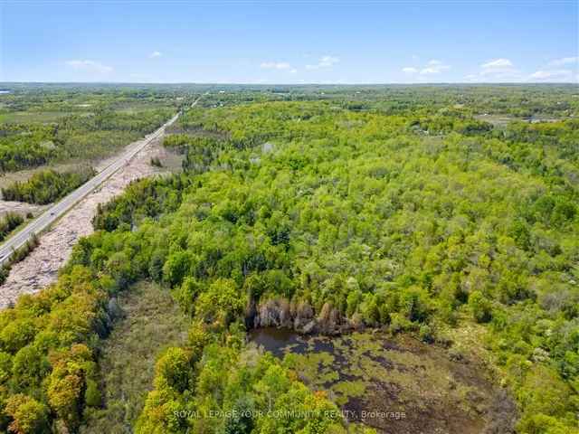 200 Acre Lot in Madoc - Development Land Agriculture Opportunity