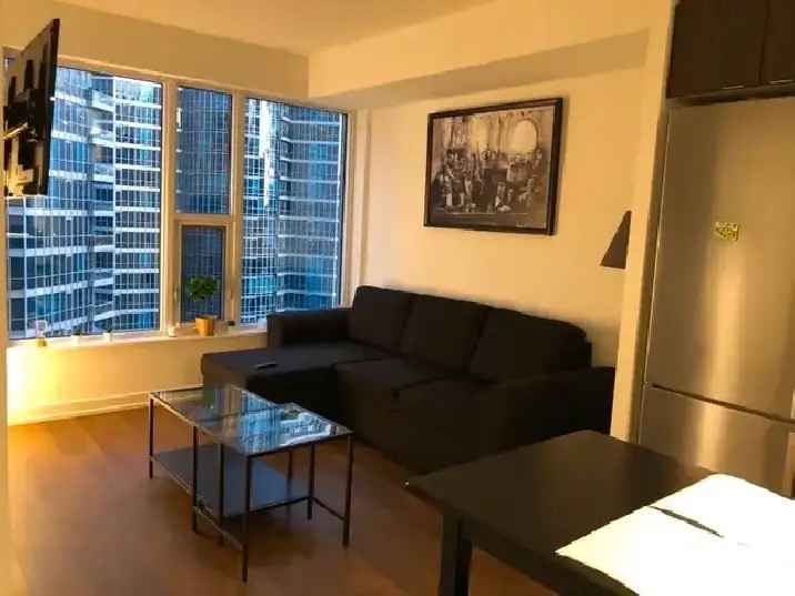 One Bedroom Condo for Rent Jan 1st