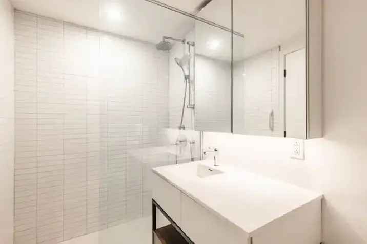 1 Bedroom Modern Condo Maestria Quartier des Spectacles