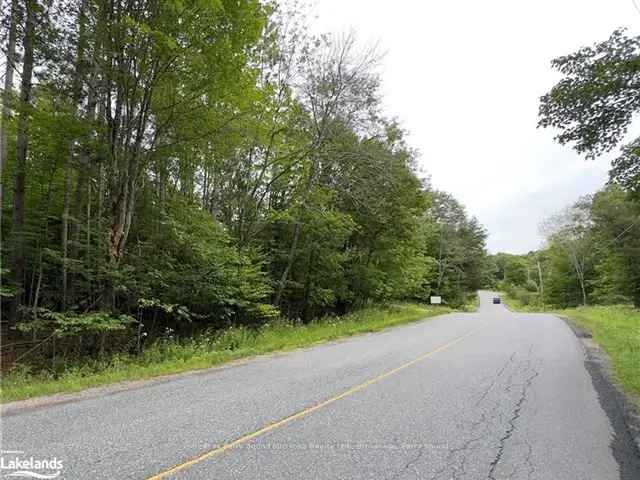 Wooded Building Lot near Carling Bay Marina