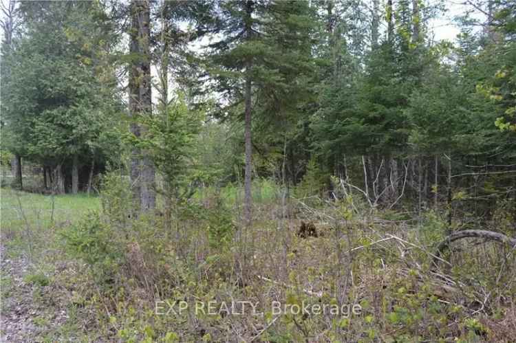 Land For Sale in Admaston/Bromley, Ontario