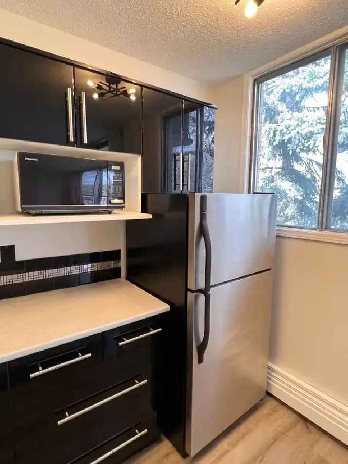 1 Bedroom Apartment in Mission for Rent Utilities included